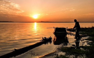 光影瞬間,生活之美 手機(jī)攝影作品精選賞析